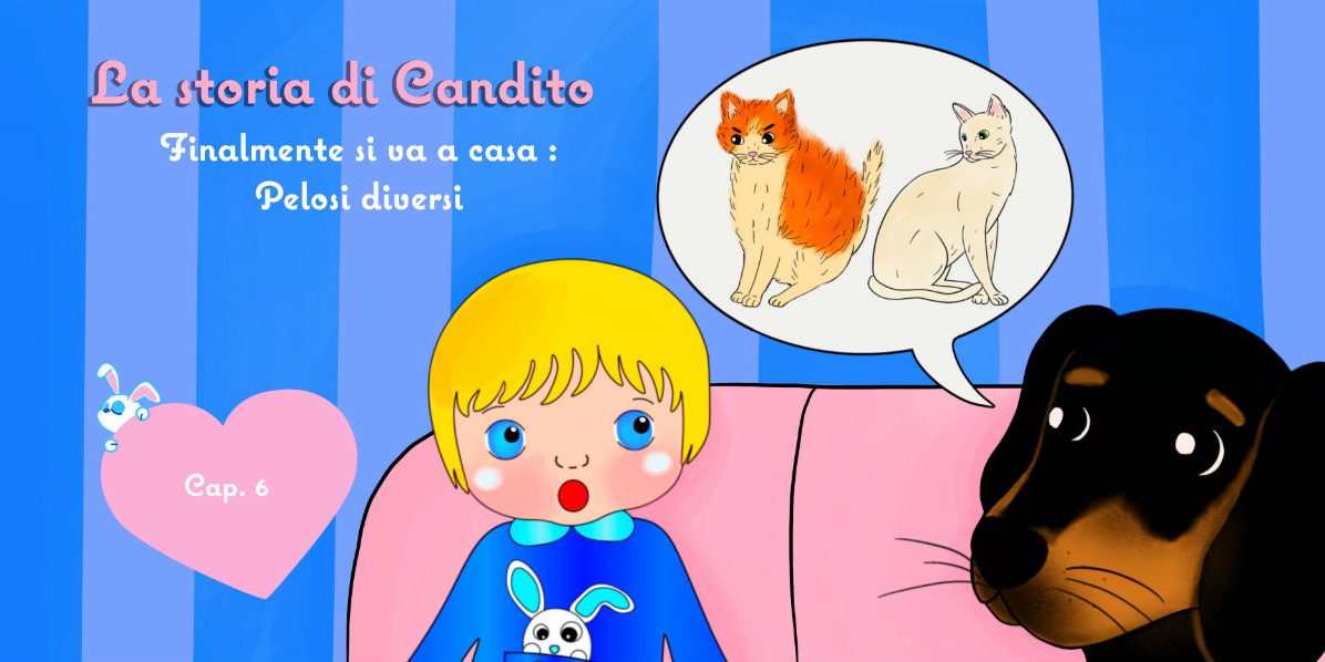 Storie di cani: disegno in cui il cane Candito racconta a Cicciobello la sua storia