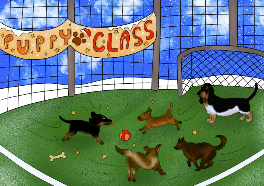 Storie di cani: disegno in cui il cane Candito racconta a Cicciobello della puppy class